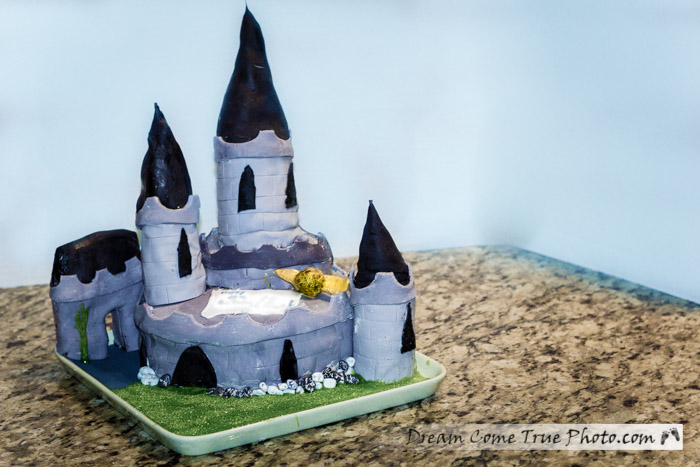 Harry Potter Halloween or Birthday Party -Cake